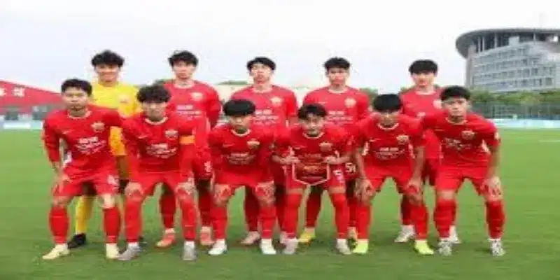 视角：各方反应与未来展望- 开云体育
